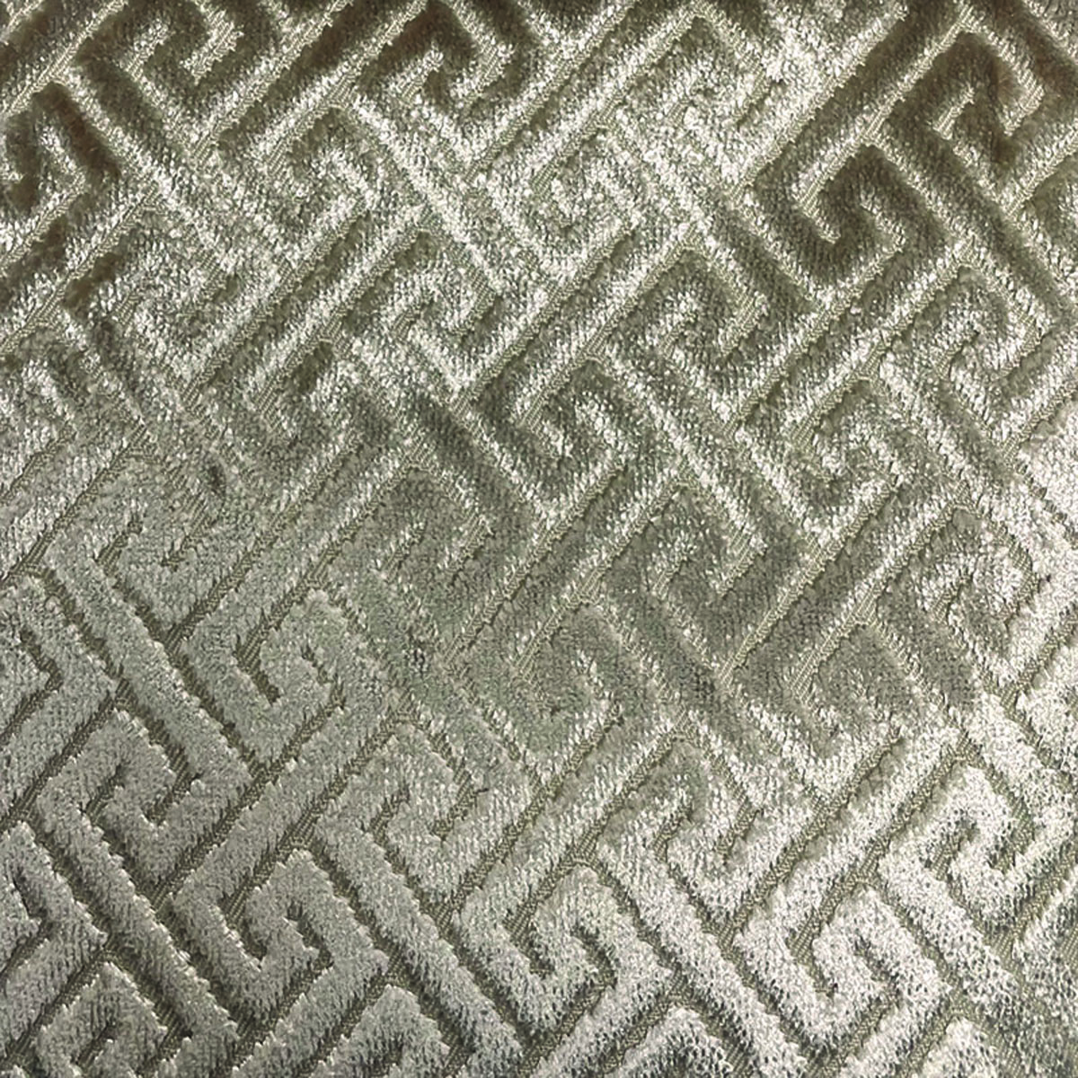 Raffles Trellis 1